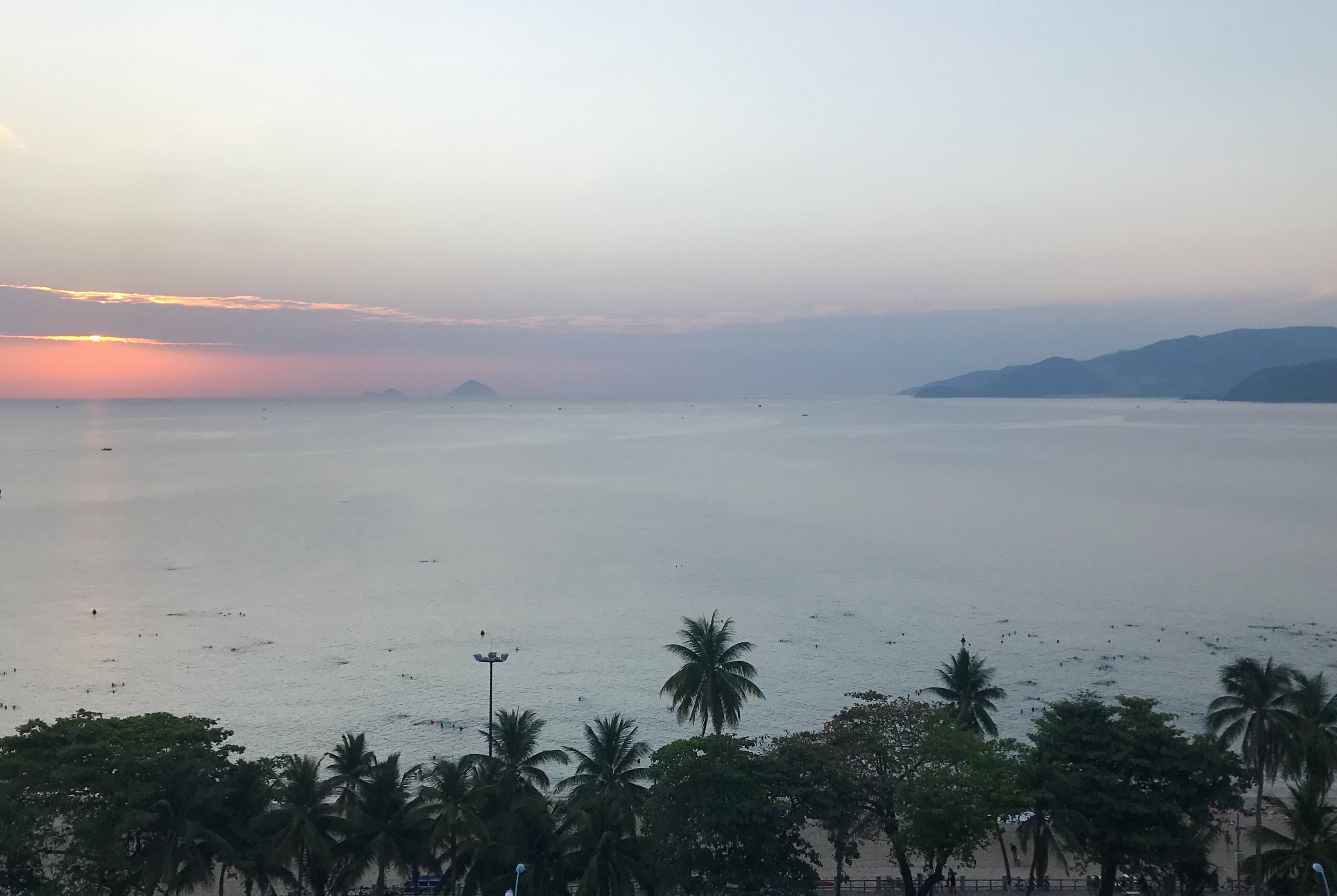 E1A2E803-8FC8-4F1E-A07E-EB2D621493D6